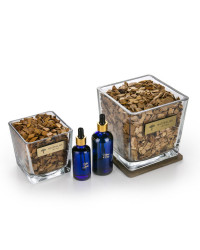 Wooden Home Fragrance With 100ml Refill